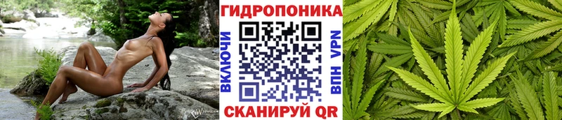 Марихуана OG Kush  Купить закладки  Печора 